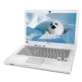 Sony VAIO CA3S1E/W bílý 